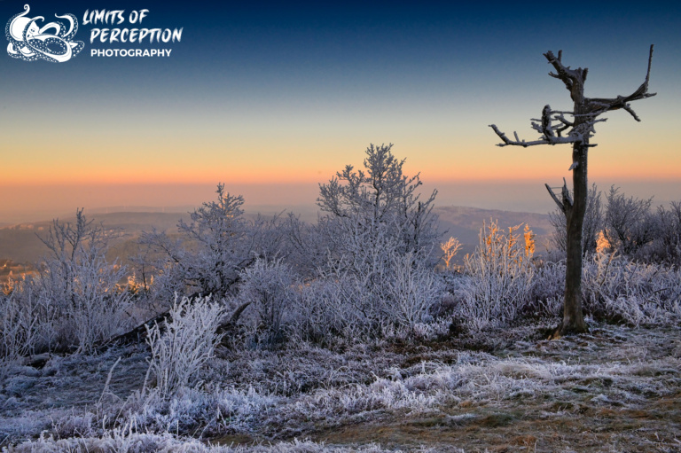 Feldberg im Taunus im Schnee / Frost